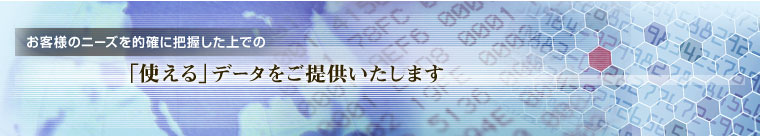 お客様のニーズを的確に把握した上での「使える」データをご提供いたします